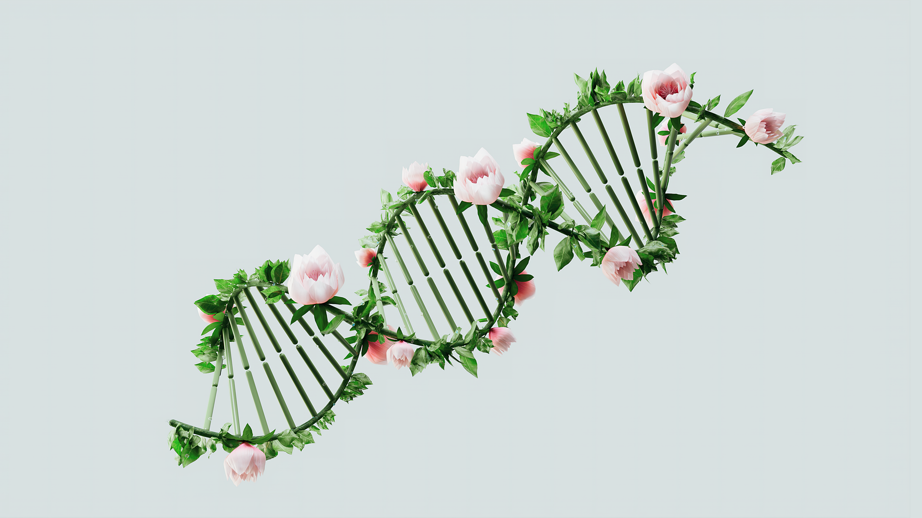 DNA Görselleştirme